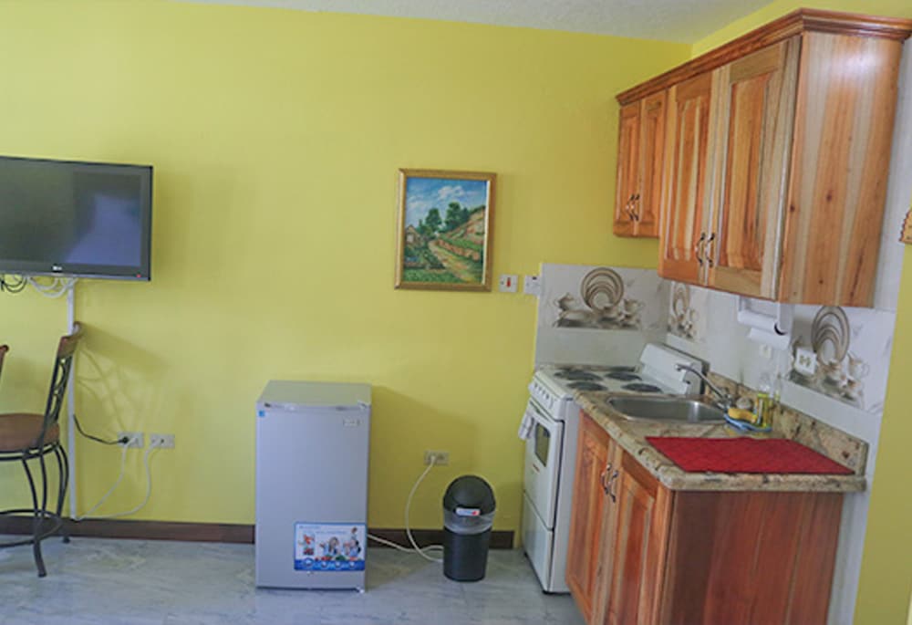 Conch Shell Beach Studio At Sandcastles Resort 22/48