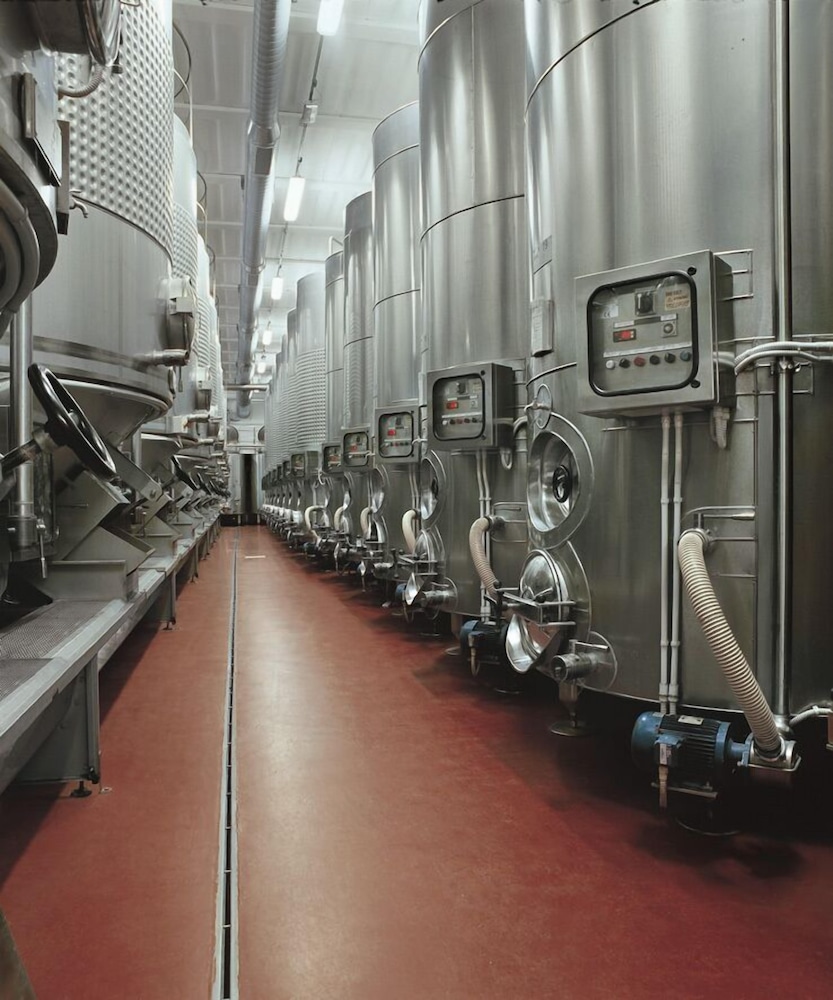 Fattoria Casabianca 10/50