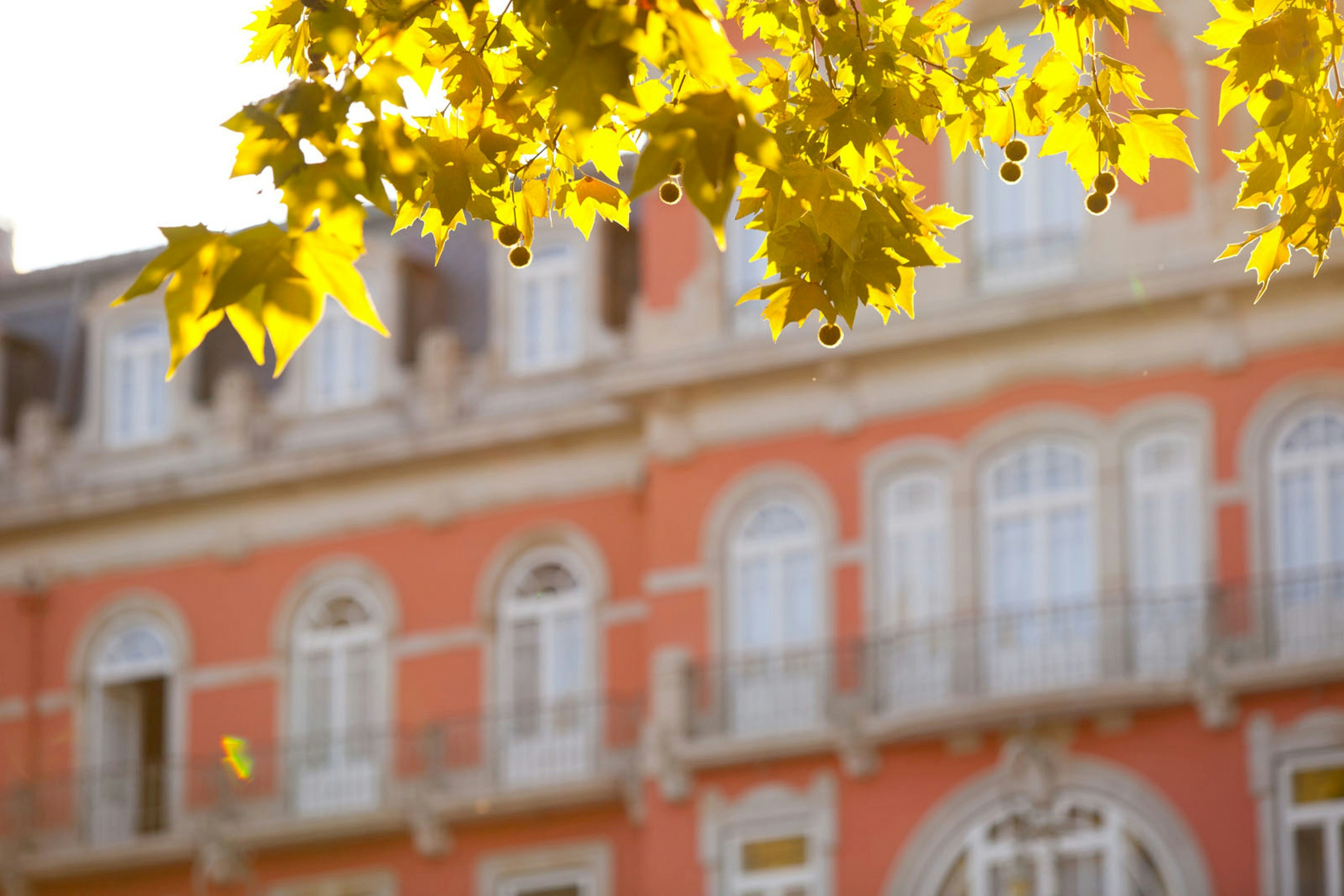 Vidago Palace 4/89