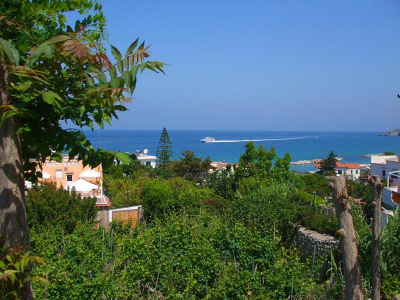 Albergo Villa Hibiscus 56/63