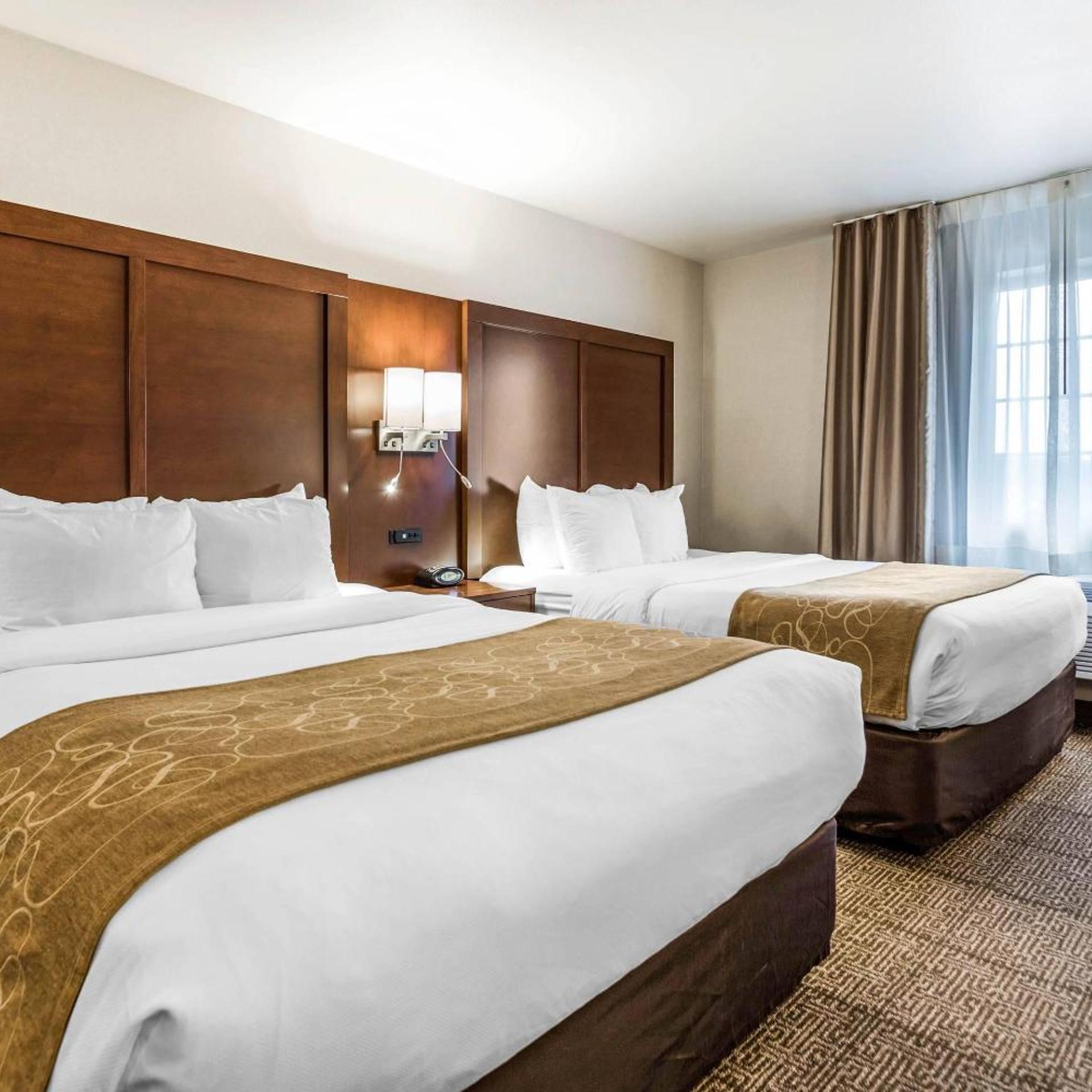 Suite, Queen Bed