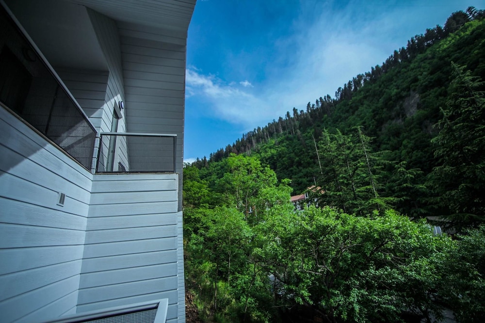 Borjomi Underwood Hotel 8/60