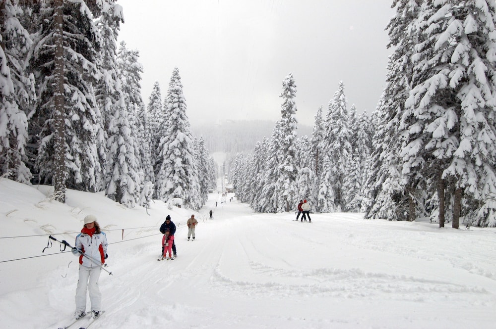 Ferko Ilgaz Mountain Resort 17/42
