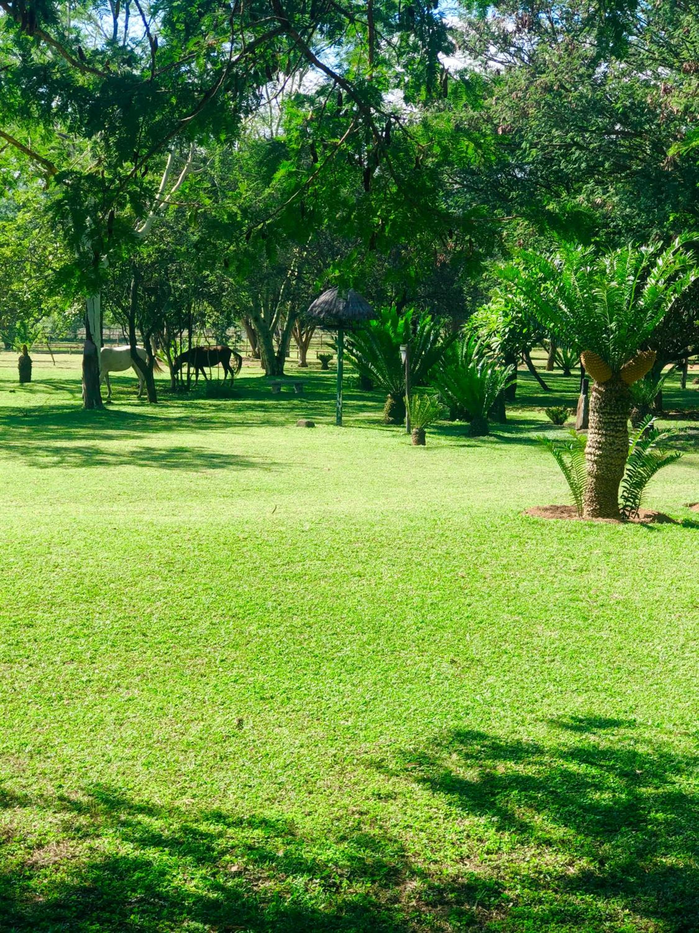 Jock of the Bushveld Chalets 44/50