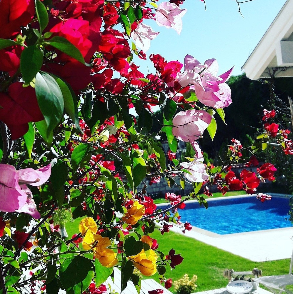 Salbakos Herakleia Boutique Hotel 38/47