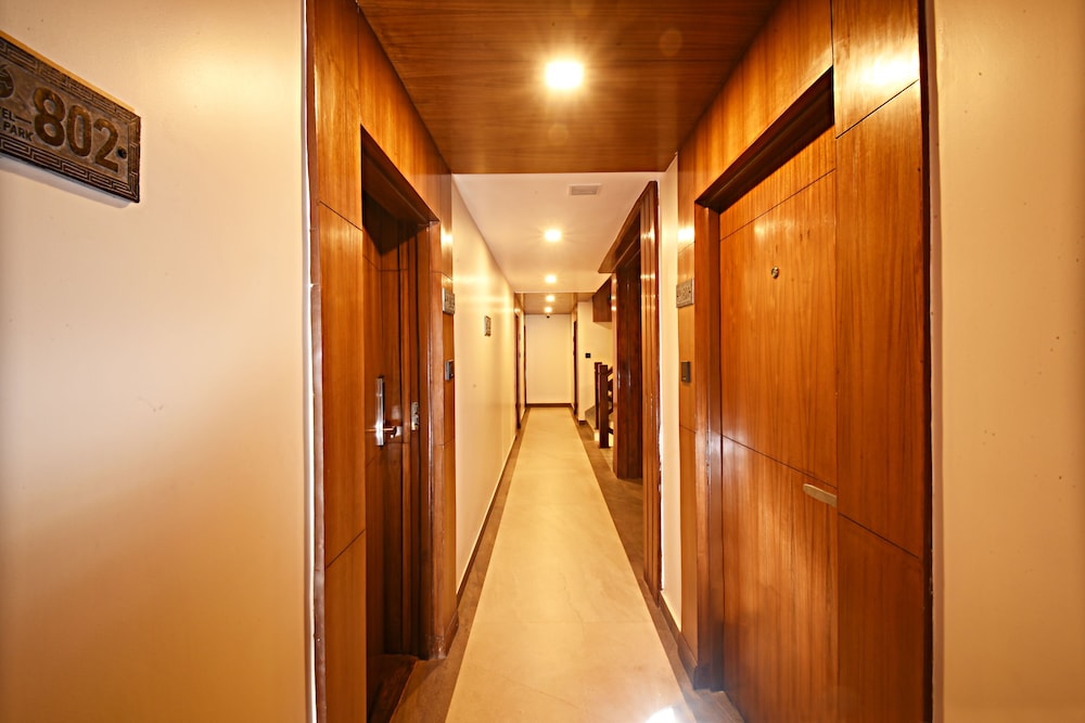 Thamel公园酒店(Hotel Thamel Park) 图片2
