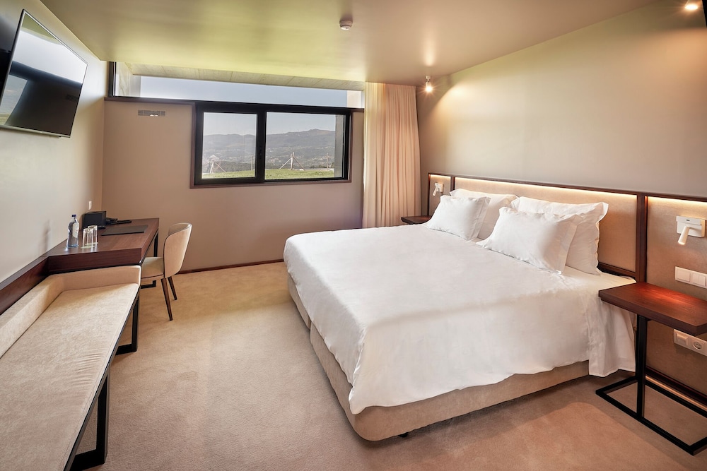 The Vinea Collection Hotel 12/45