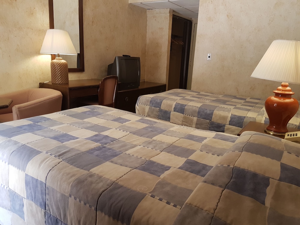 The Petra Palace Hotel 35/70