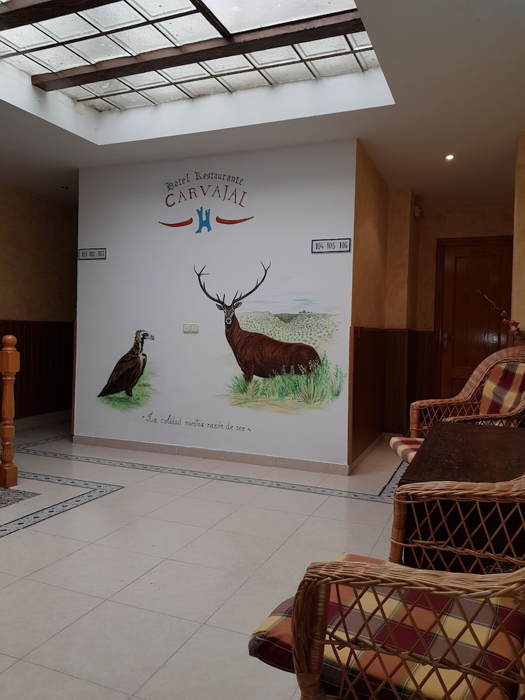 Hotel Carvajal 7/46