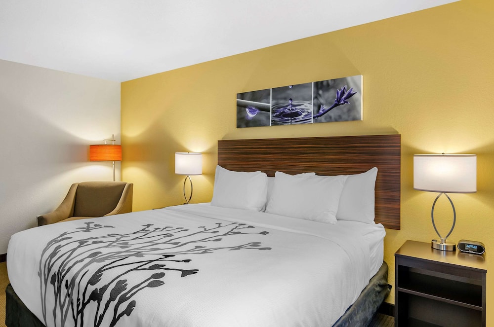 Sleep Inn & Suites Great Falls Airport 20/48