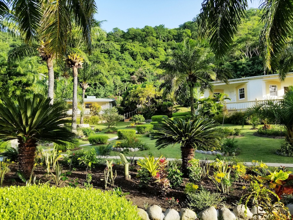 BLUE HORIZONS GARDEN RESORT 27/43