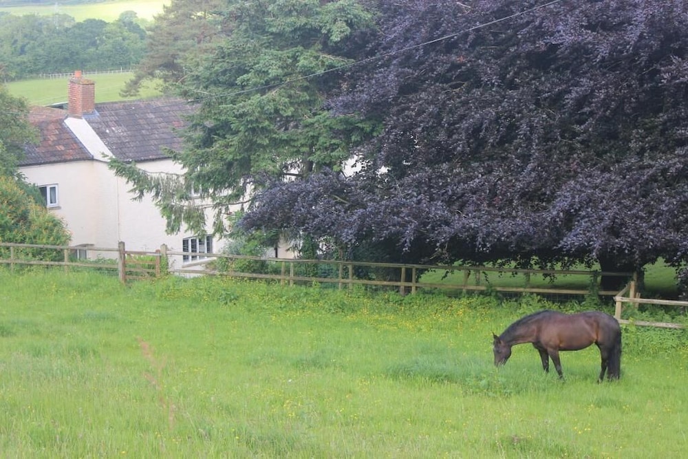 Pardlestone Farm Groom S Cottage 35/50