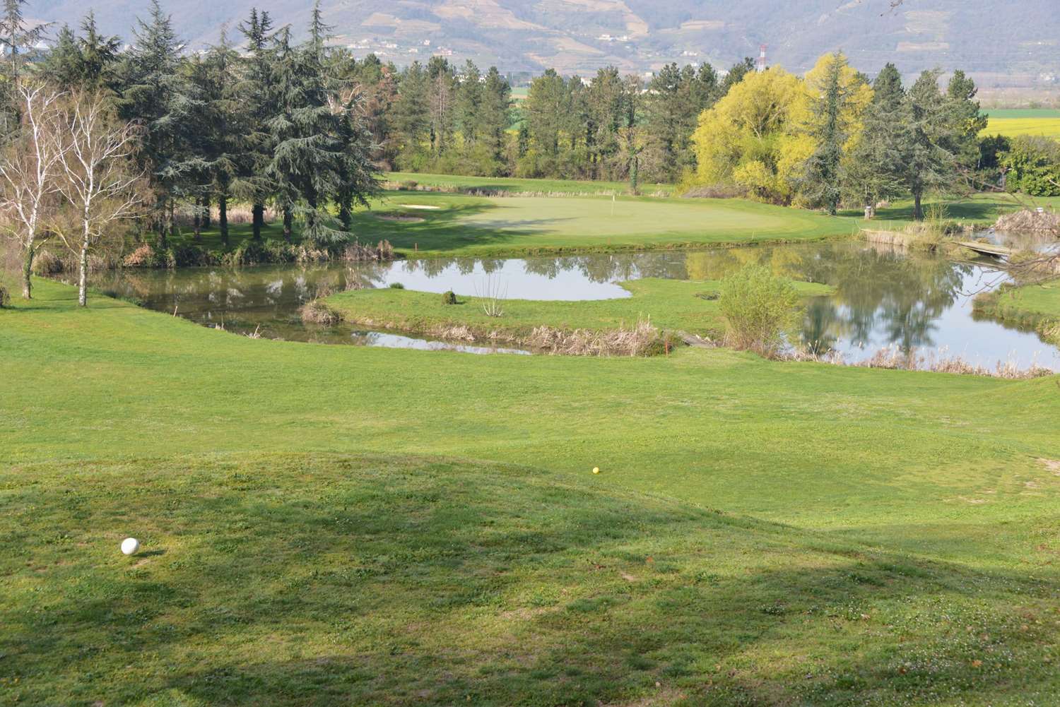 Golf D albon 17/23
