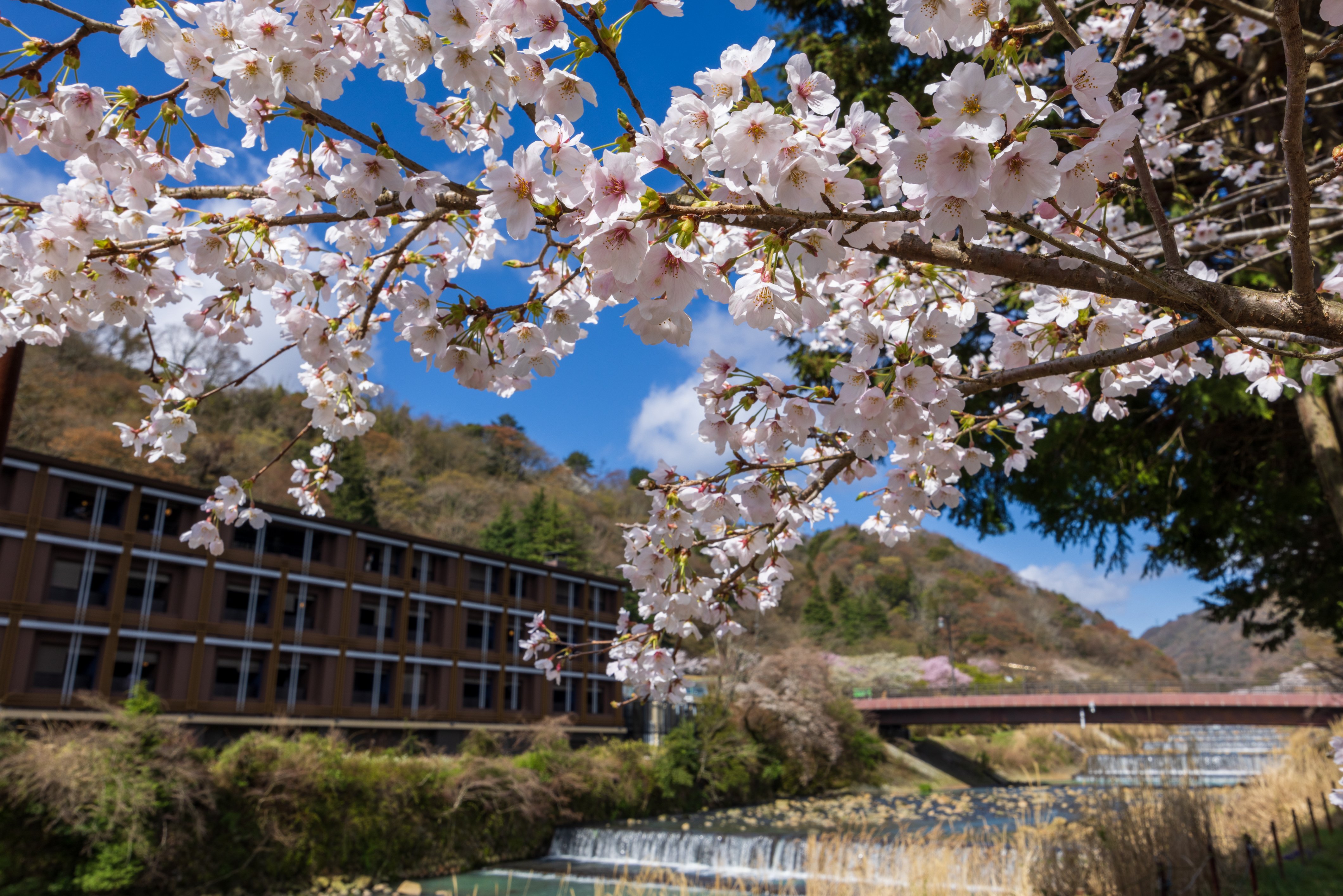 Hotel Indigo Hakone Gora 78/78
