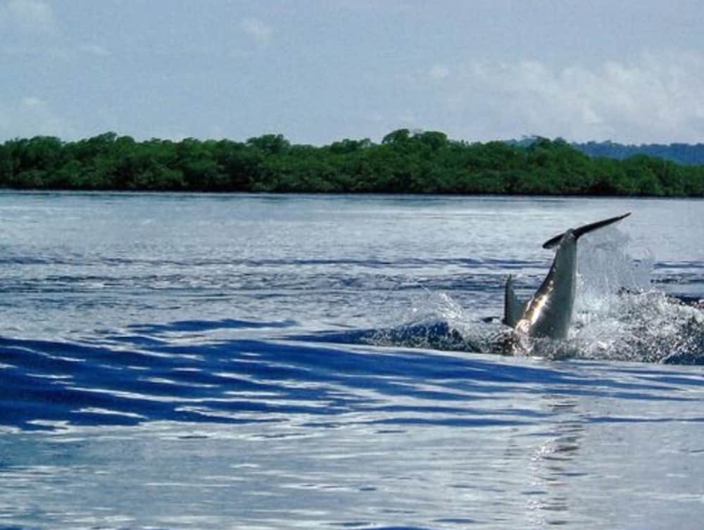 Punta Caracol Acqua Lodge Bp 29/45
