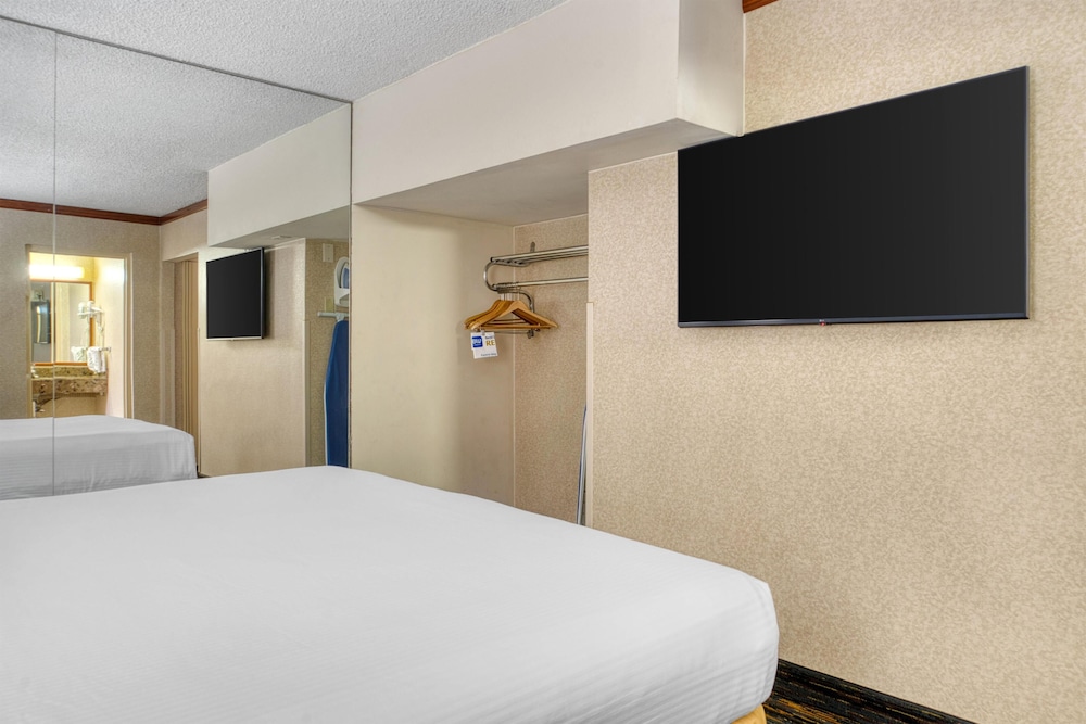 Suite, King Bed, Sofa