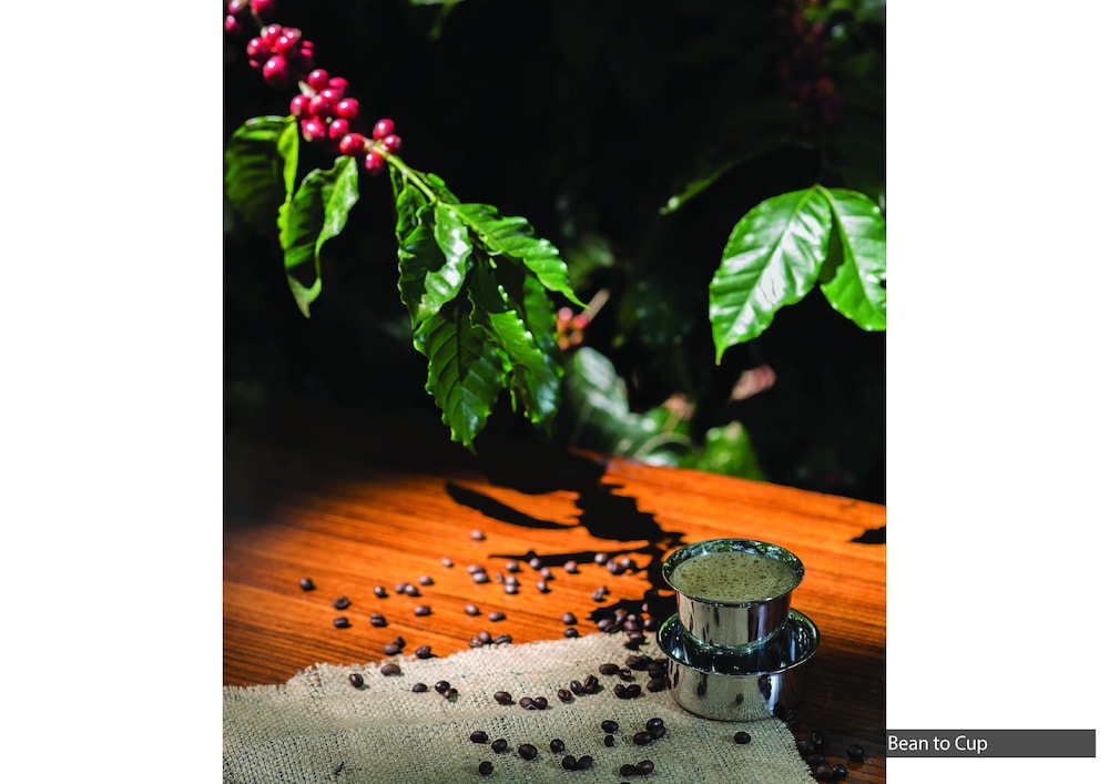 The Serai Chikmagalur 36/45