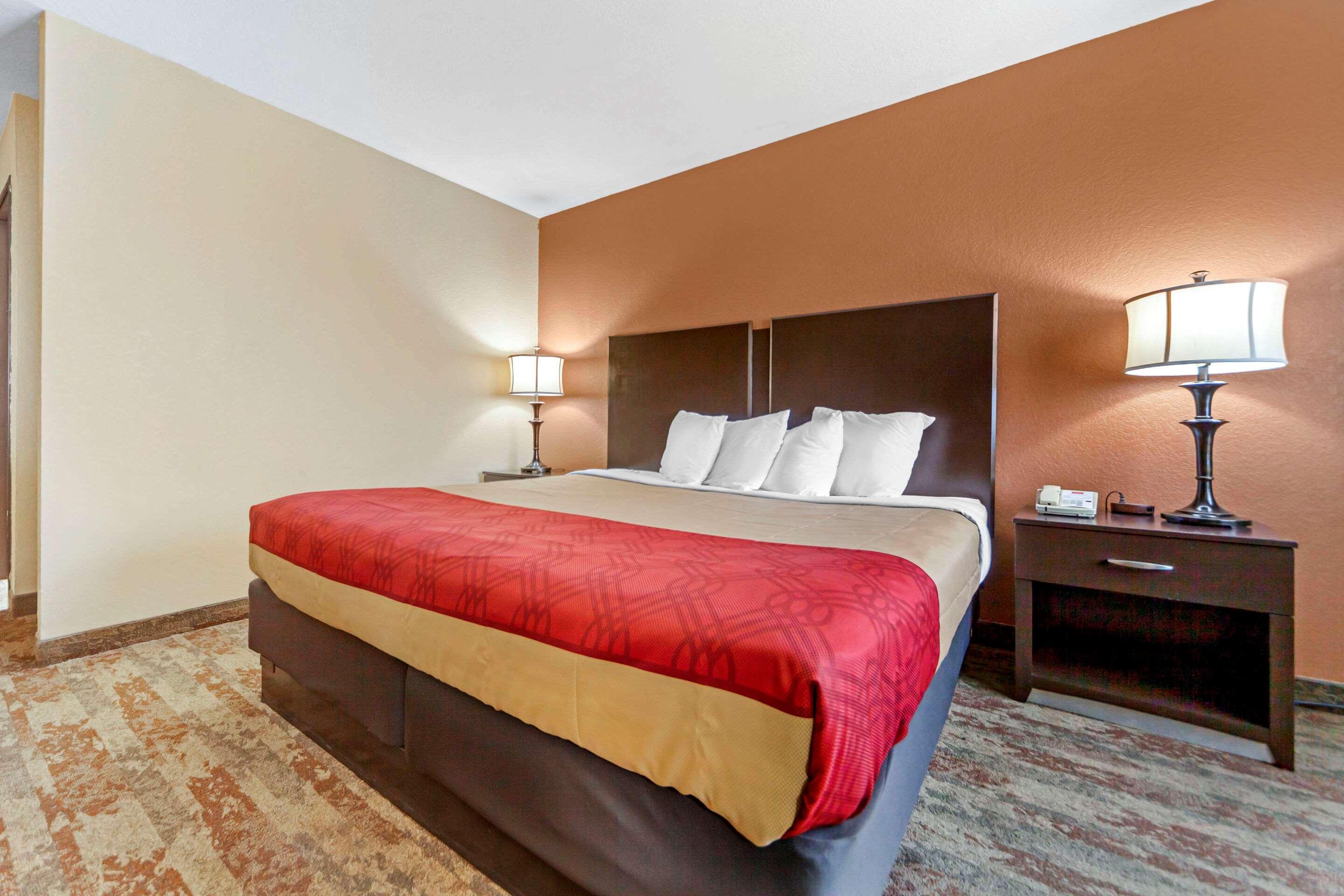 SUITE, QUEEN BED
