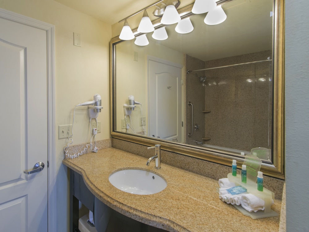 Holiday Inn Express and Suites Orlando - International Drive 26/79
