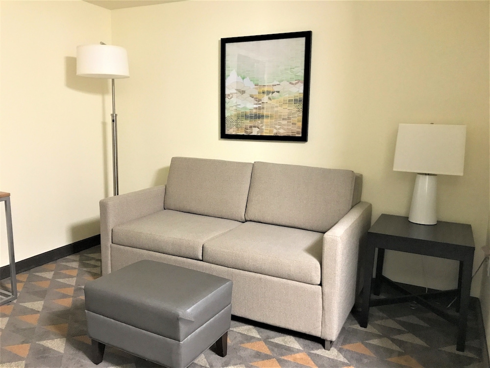 Holiday Inn & Suites Asheville-Biltmore Village Area 41/70