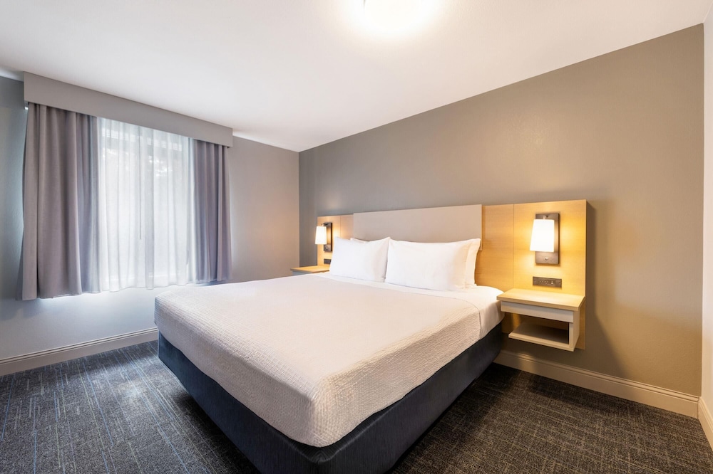 Suite, King Bed