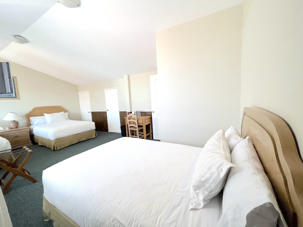 Biohotel 34/67