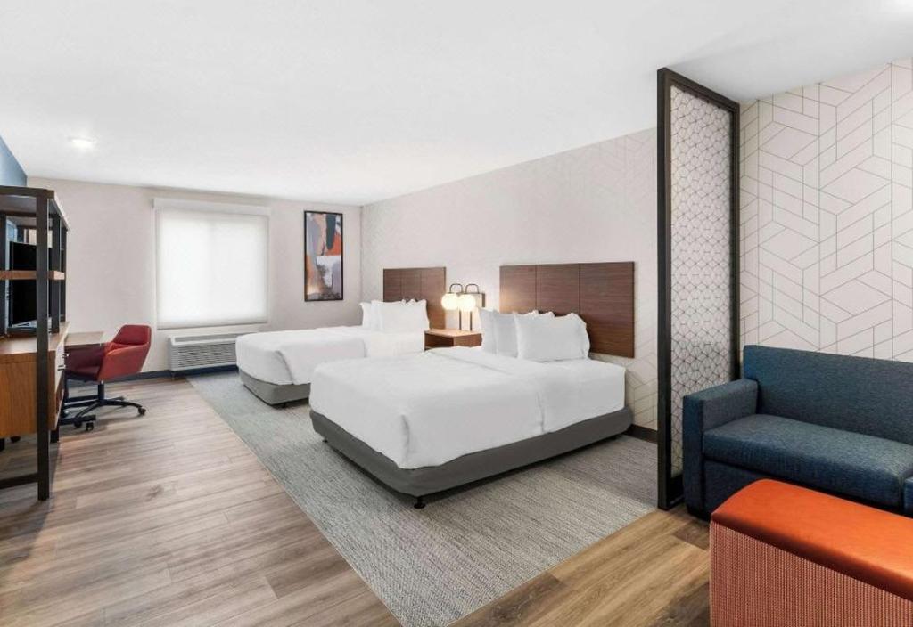 Upgrade, Suite, King Bed
