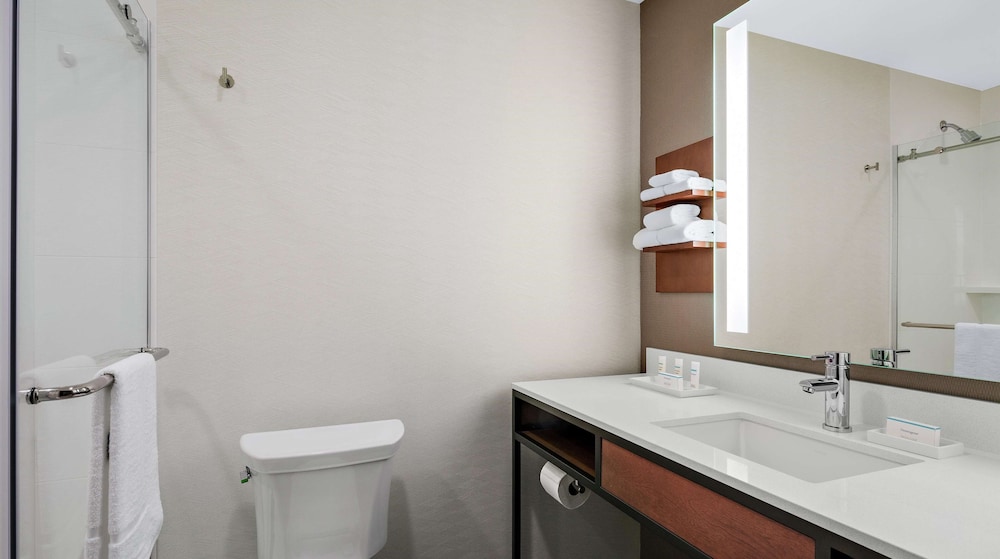 Hilton Garden Inn Chicago Mccormick Place 18/71