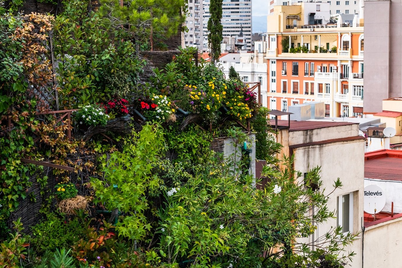 Inhala Hotel Garden 53/55