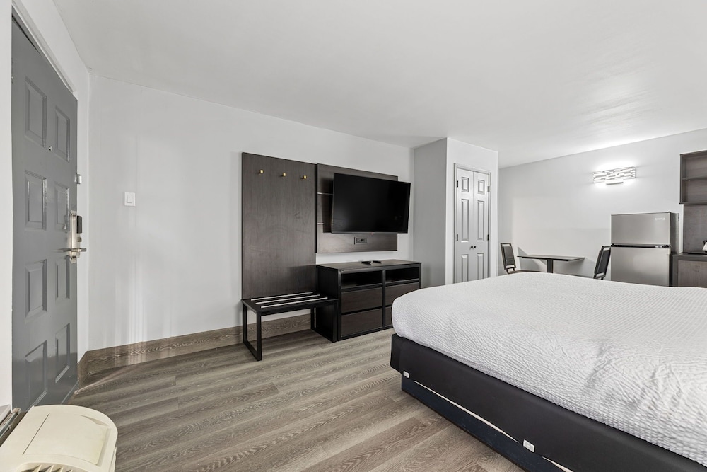 Suite, King Bed, Accessible