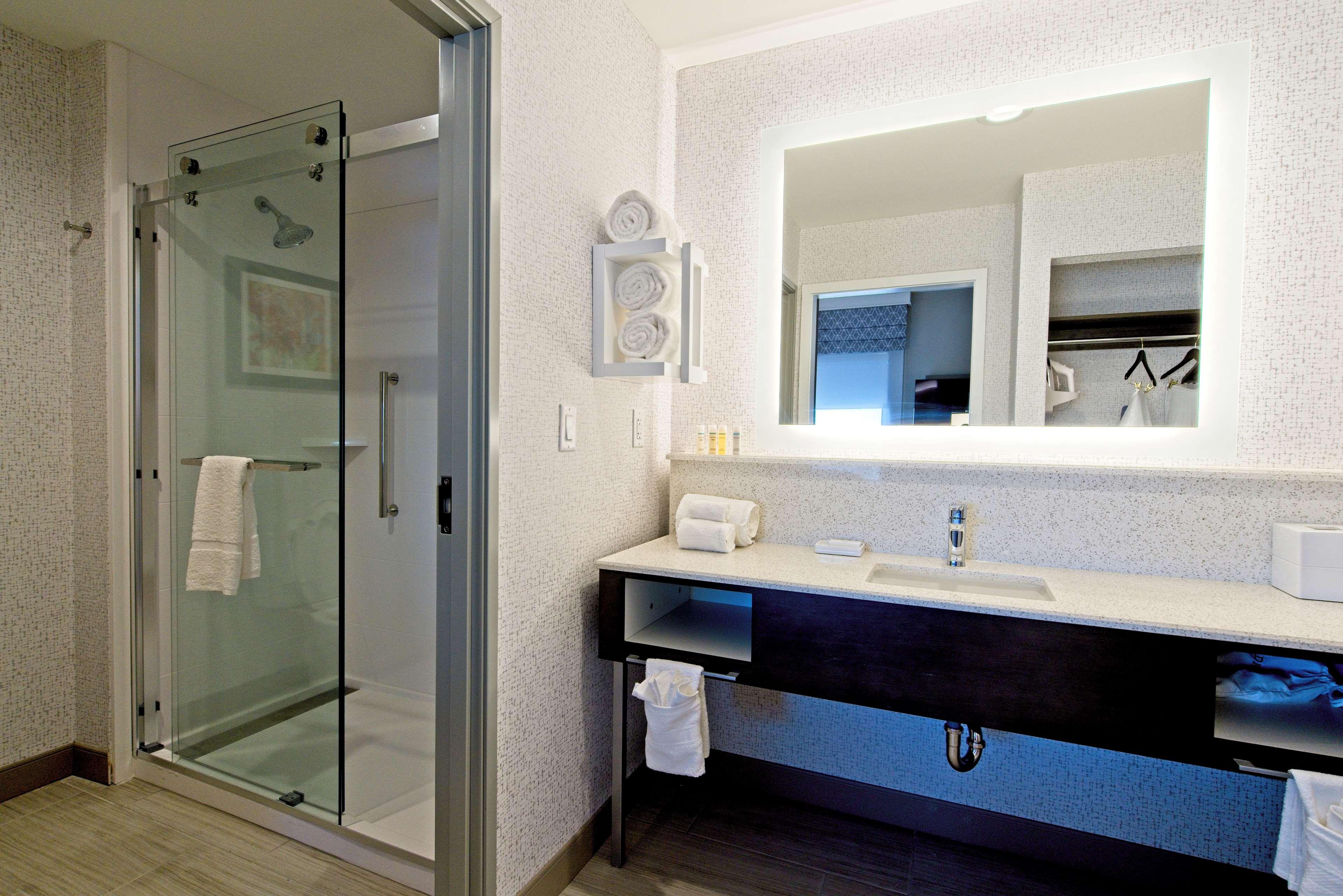 Suite, King Bed