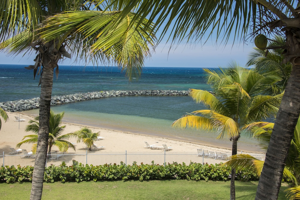 Aquarius Vacation Club At Dorado Del Mar 31/50