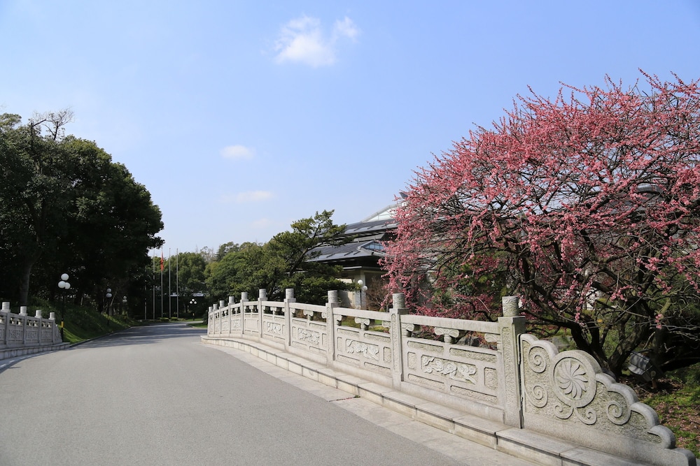 Dong Jiao State Guest 67/70