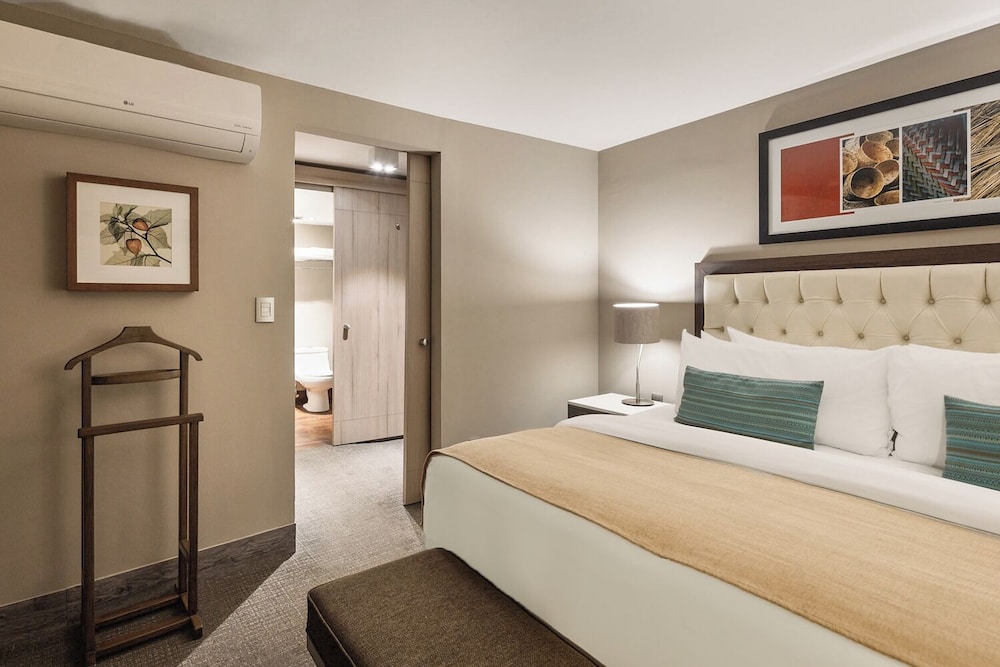 Dominion Polanco Ex Dominion Corporate Suites 10/50