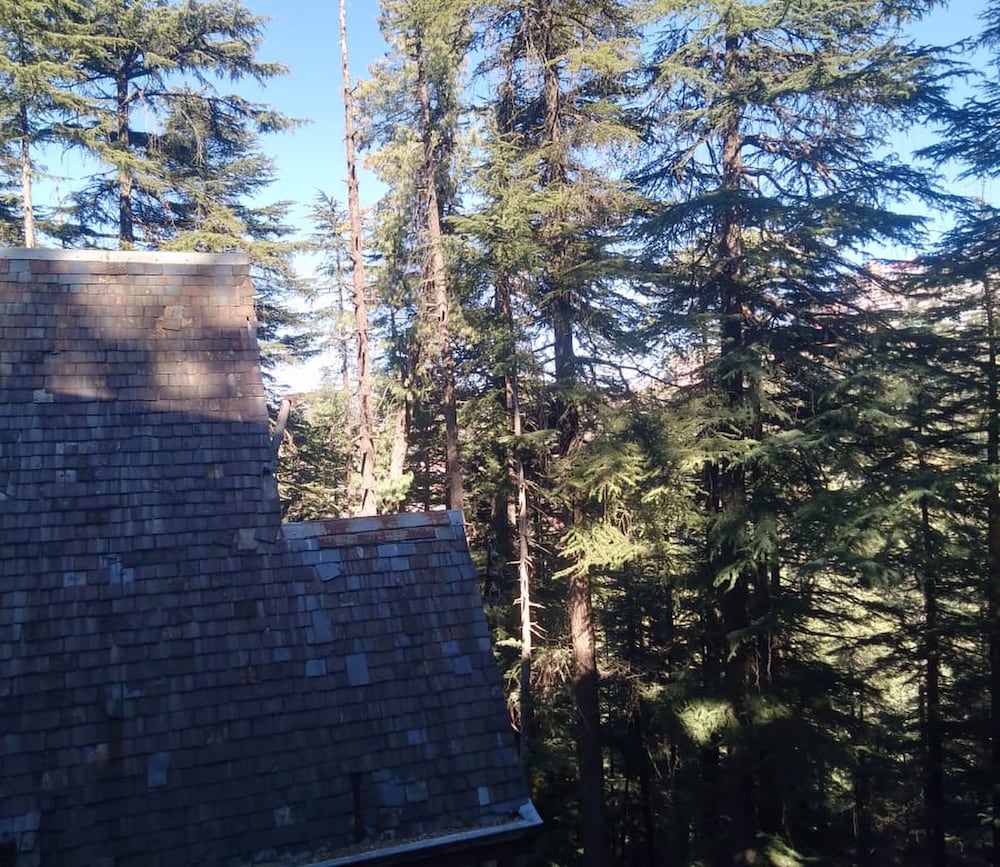 Shimla British Resort 41/50