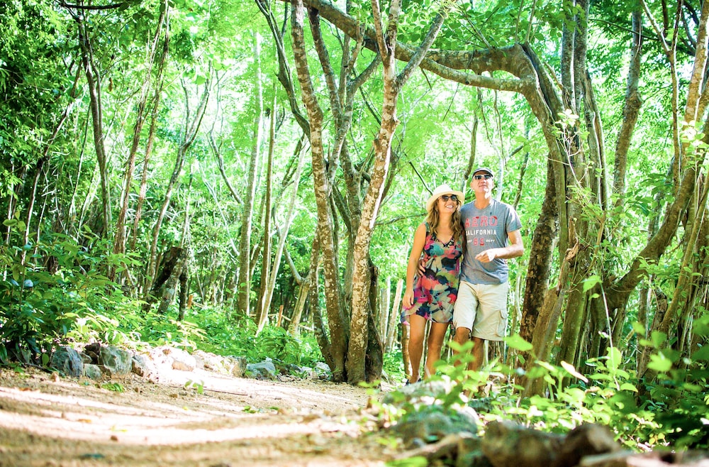 Akumal Natura Glamping 32/50