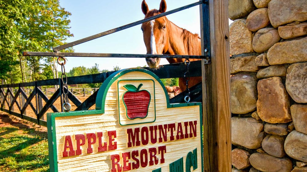 Holiday Inn Club Vacations Apple Mountain Resort 38/69