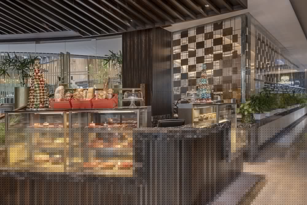 Radisson Blu Hotel Kaushambi Delhi Ncr 52/68