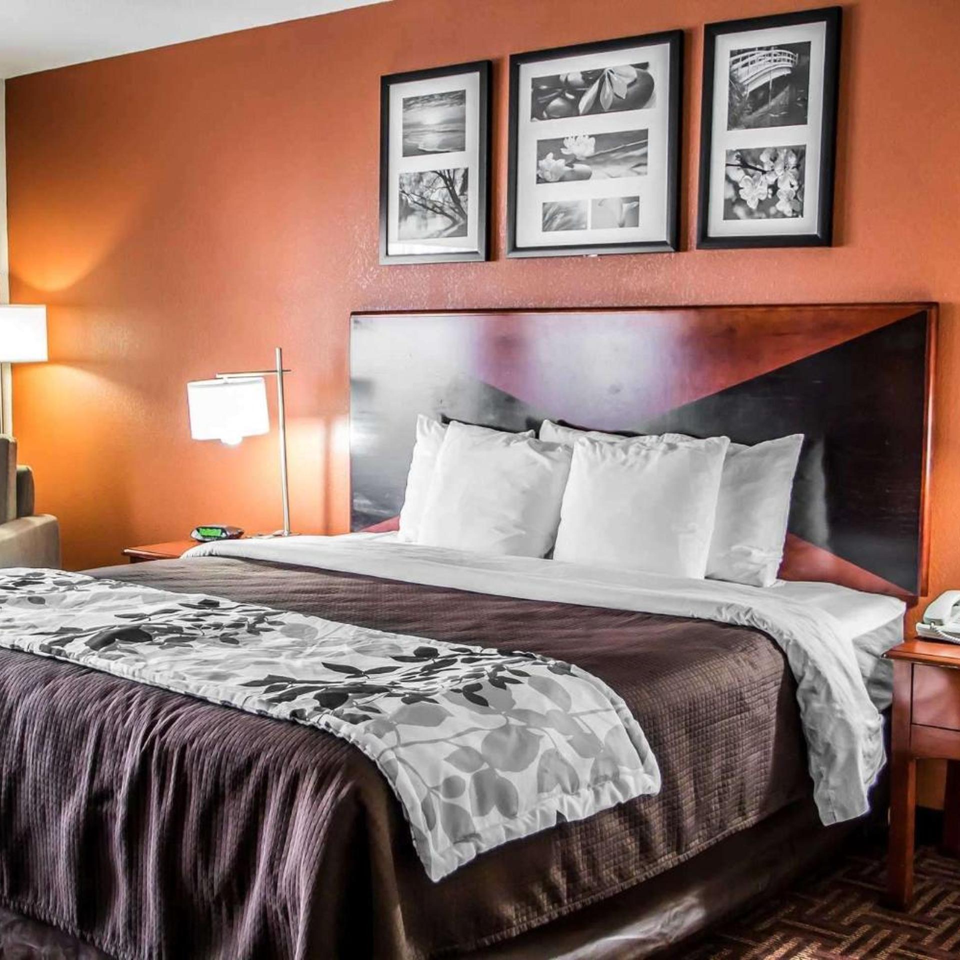 ROOM, KING BED