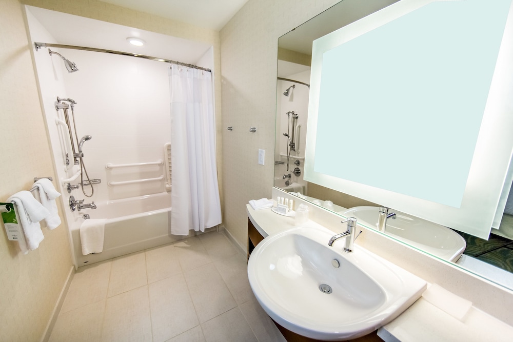 SpringHill Suites Lumberton 14/59