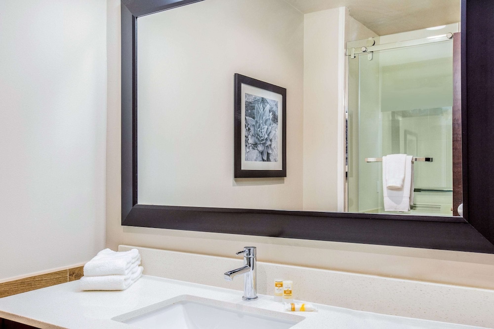 La Quinta Inn And Suites By Wyndham Mcallen Convention Center 22/56
