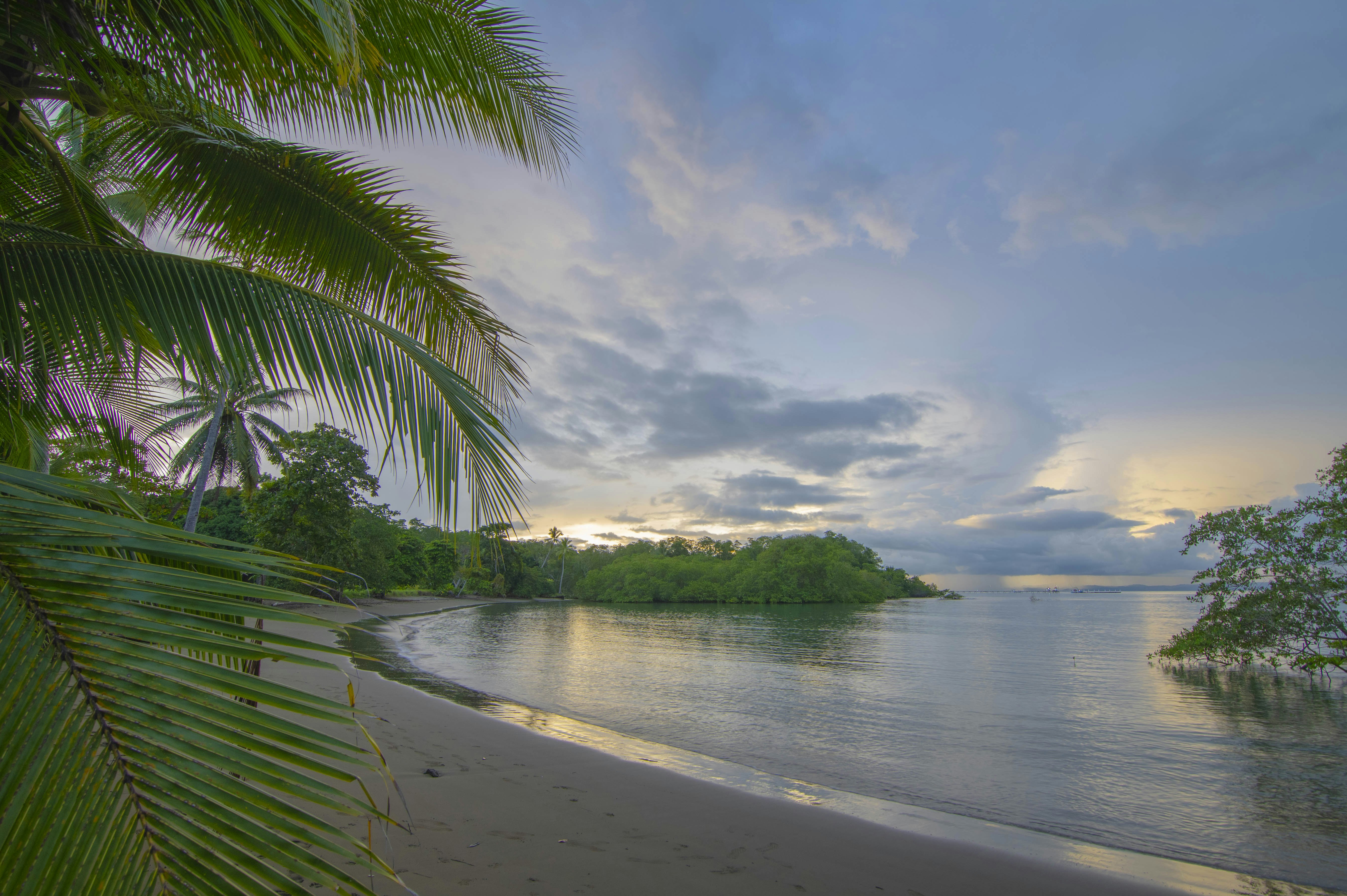 Botanika Osa Peninsula, Curio Collection by Hilton 67/73