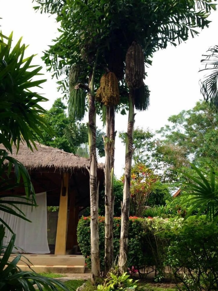 Palm Garden Resort 53/66