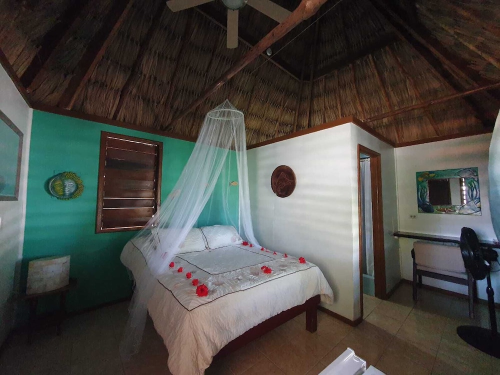 Hotel Del Rio 44/73