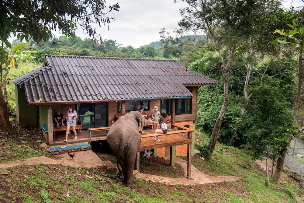 Chiang Mai Elephant Friends 6/50