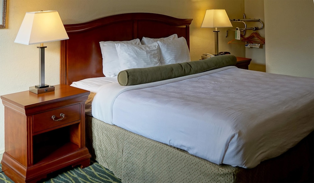 Best Western Point South 24/54
