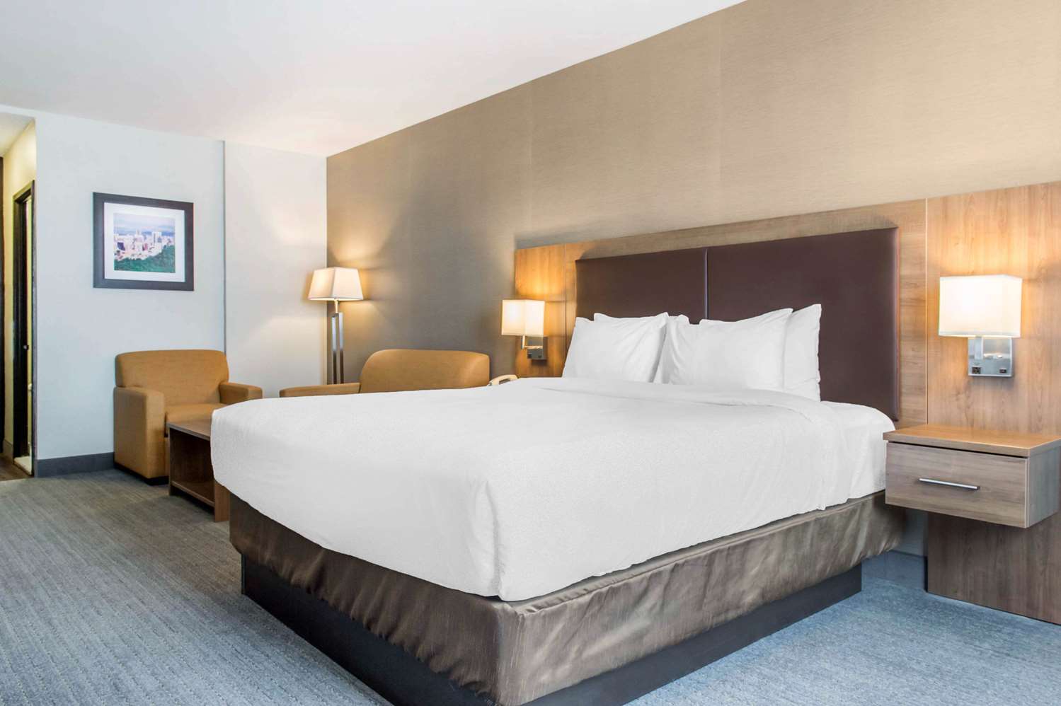 Efficiency, King Bed