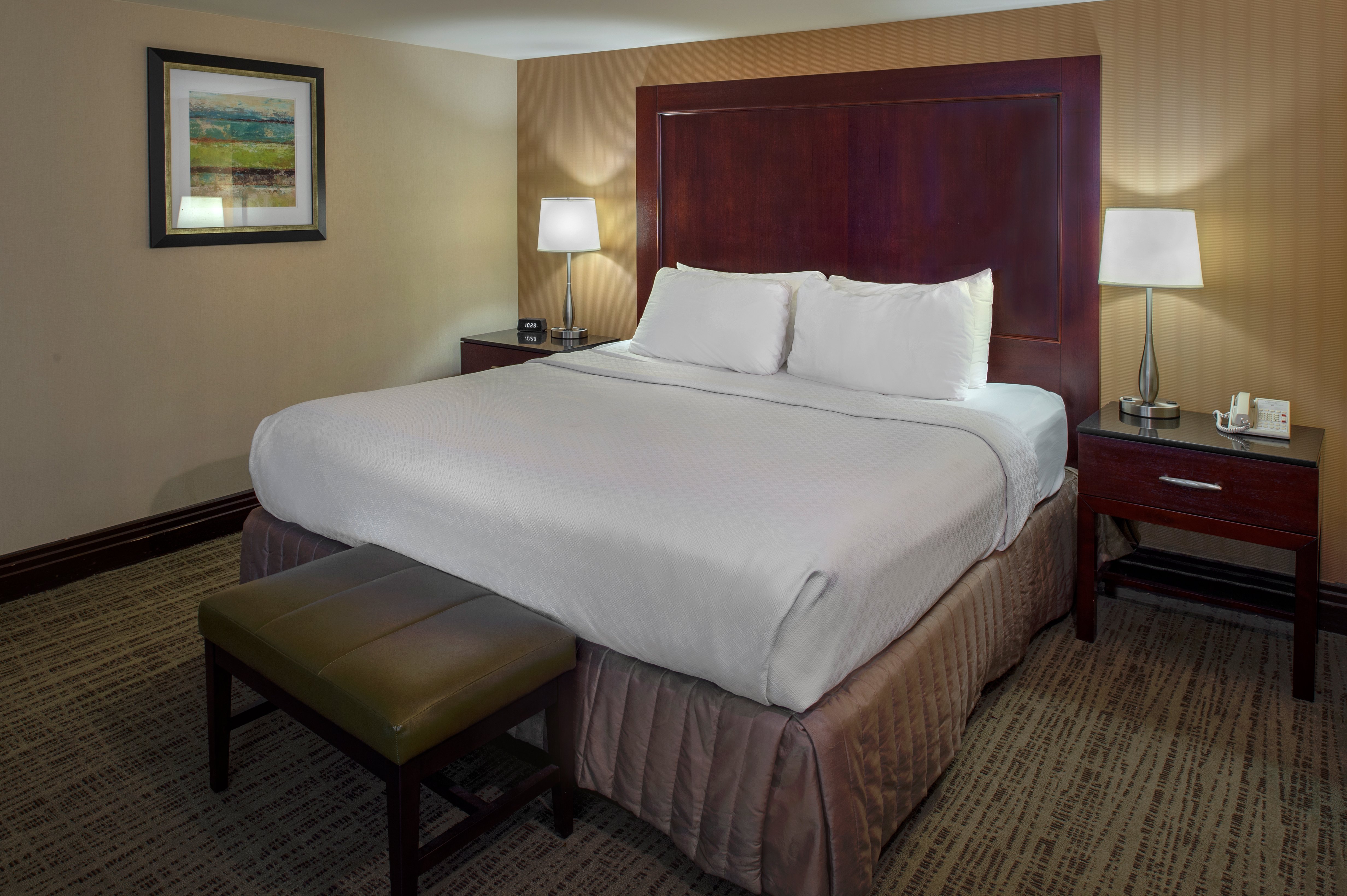 Crowne Plaza St. Louis Airport 29/71