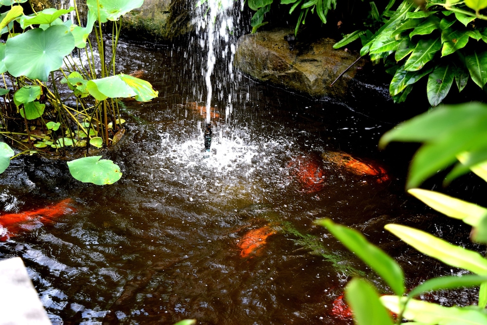 Deva Samui Resort And Spa 45/50