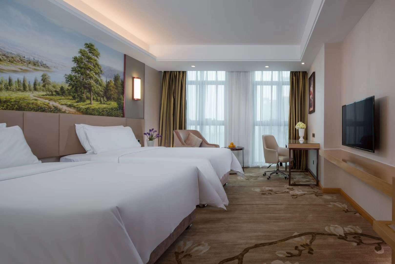 Vienna International Hotel (Huanggang Normal College Ruitian Plaza) 20/39